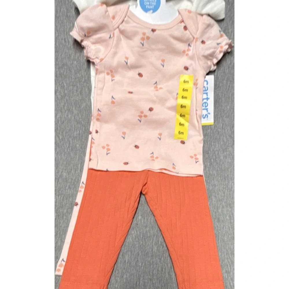 Carter's 3 Piece Ladybug Floral Pants Set 6M Pink Orange Shirt Bodysuit